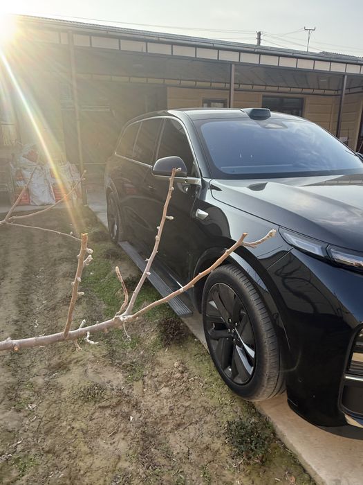 Li9 max ideal holatda