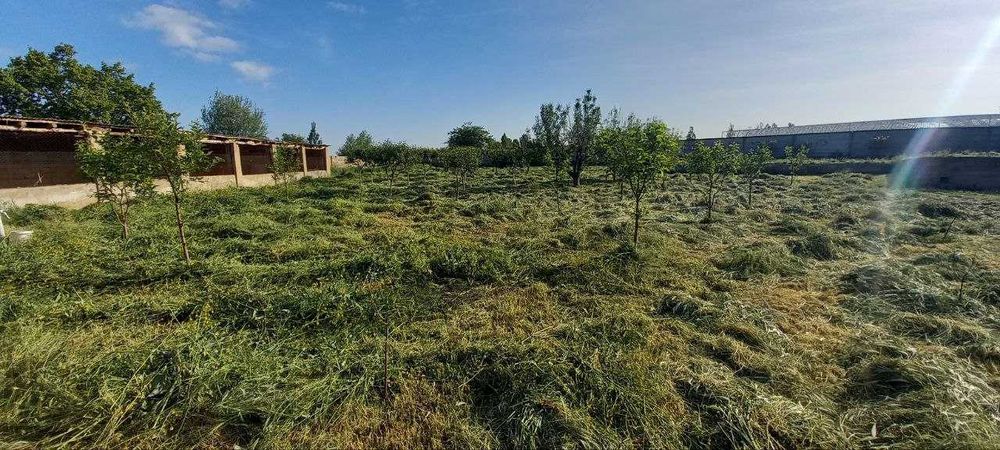 Ер участкаси Нурафшон шахар, Тошкент шахаридан узок булмаган худудда