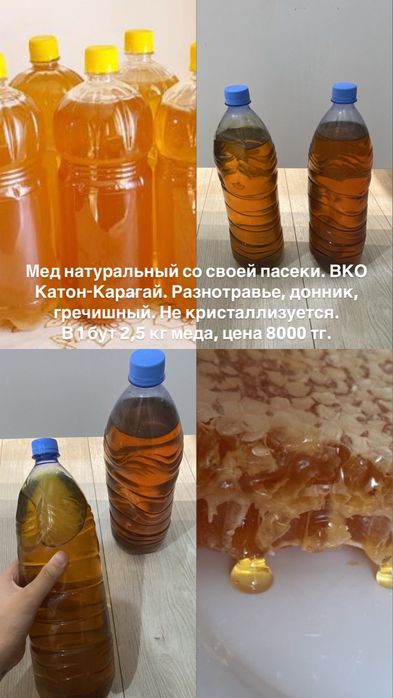 Мед наиуральный Катон-Карагай