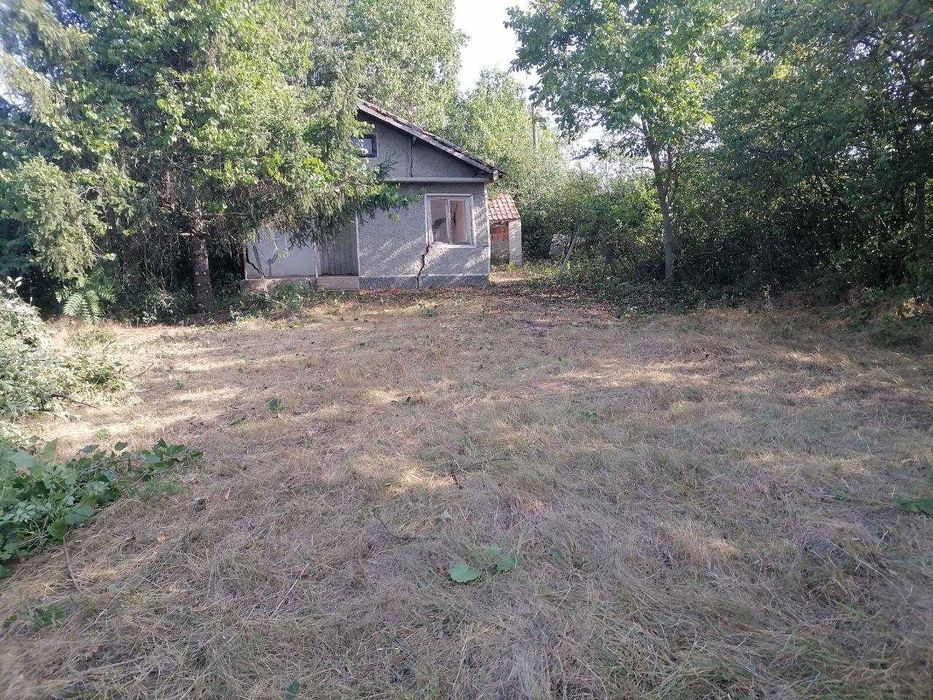 Всякакви градинарски услуги - Варна и областта