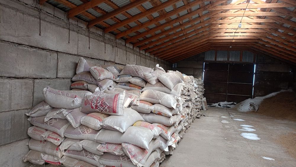 Продам Лён срочно