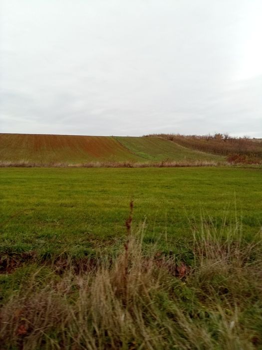 Vând 1 ha Les+ Nojorid cartier nou