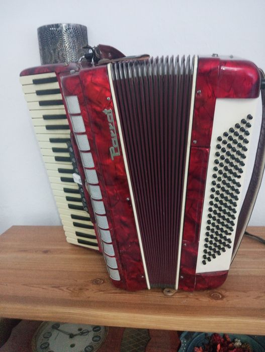 Acordeon parrot 120 de basi