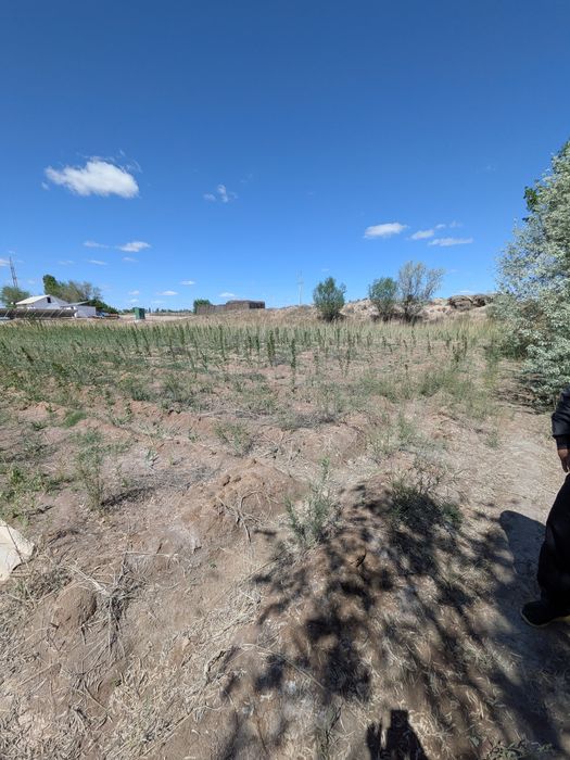 Дача сатылады манзил Шагал копир ориентир Орнек