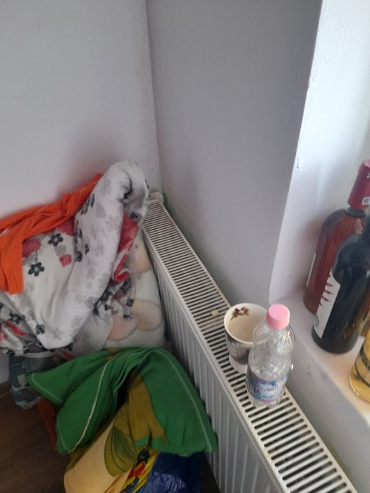 Vând garsoniera Plevna aleea ghiocelului