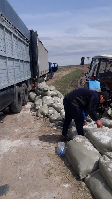 Удобрения себемиз күришке