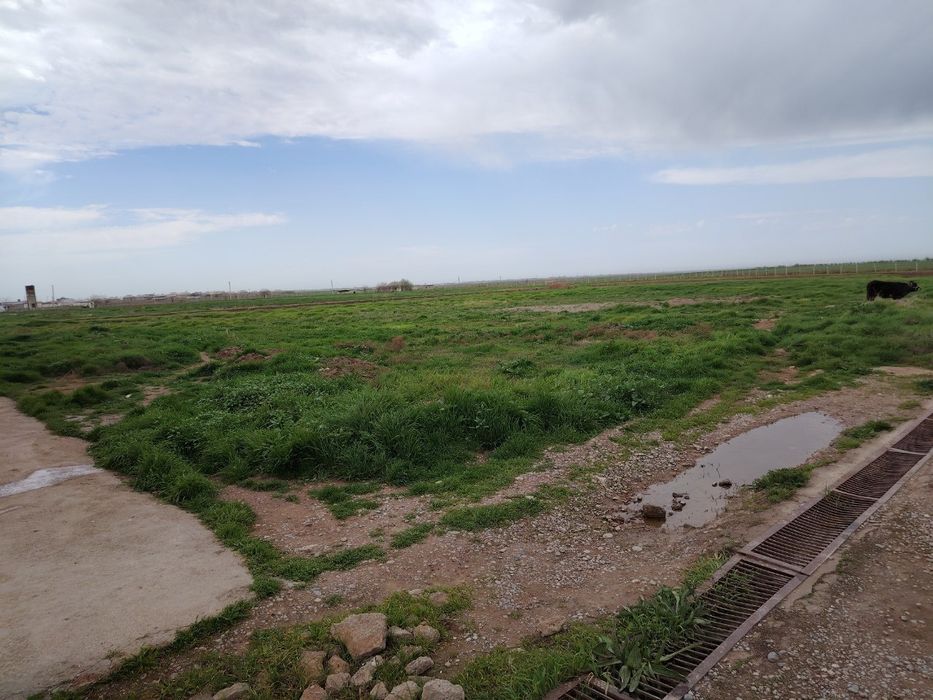 Чойхона нотурар жой тайёр безниси билан.