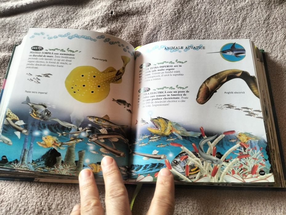 1000 curiozități despre animale si dinozauri mica enciclopedie carte