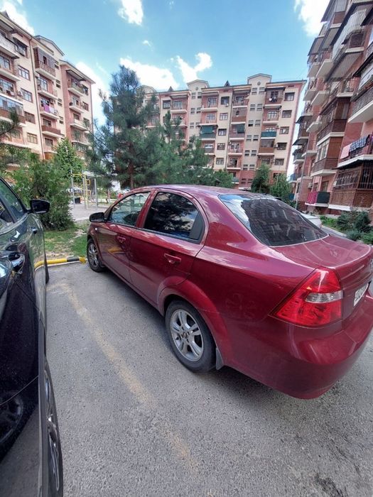 Nexia3 bardoviy