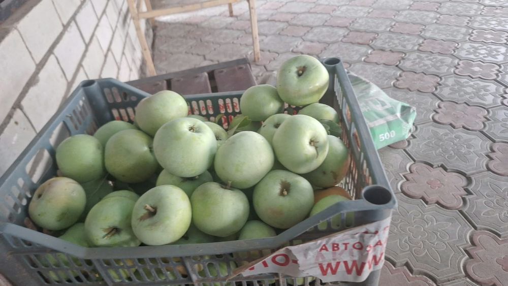 Продам зимние яблоки