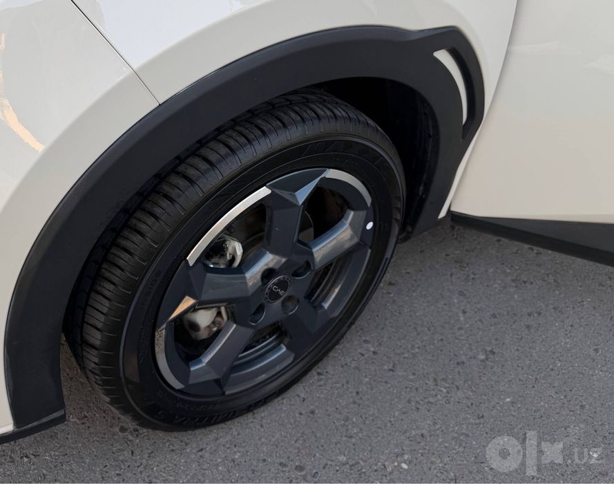 BYD SEAGULL 405Km 100% Топтоза 2024 Состаяние Йенгиде