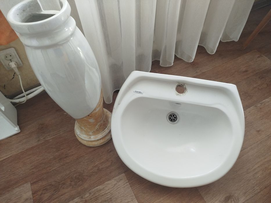 Раковина тюльпан