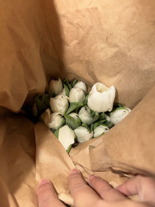 Тюльпаны на корпоратив