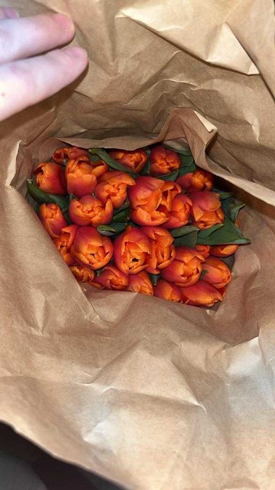 Премиальные тюльпаны