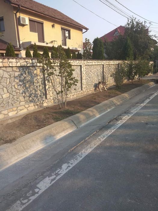 Piatră naturală de munte de Grecia