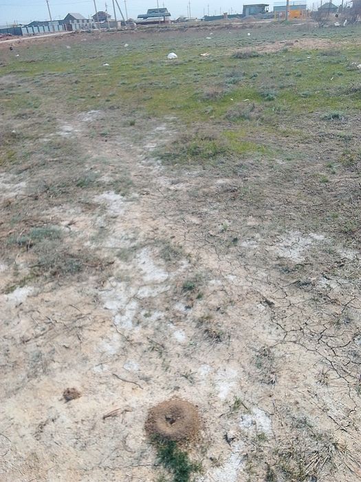 Участок в поселкн Даулет