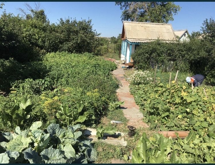 Дача 2 коллективе