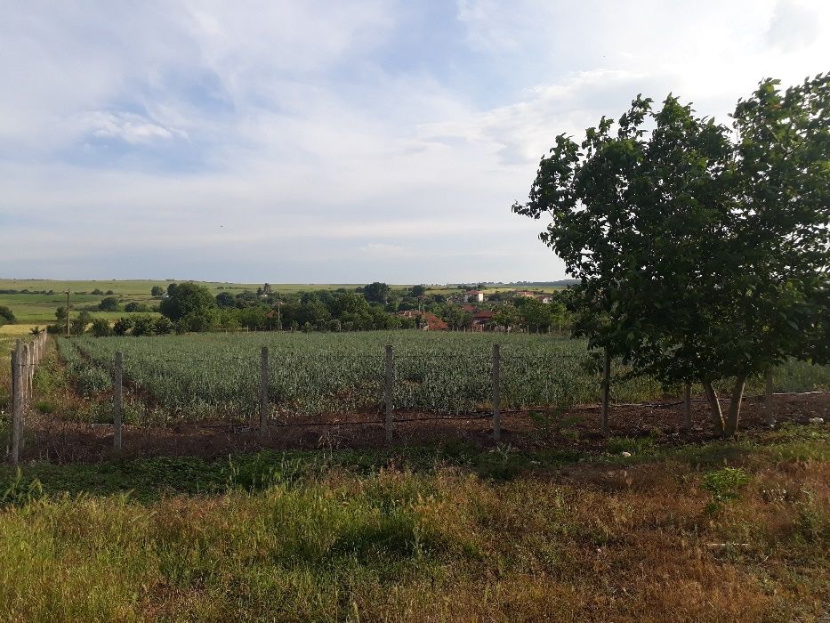 Продава се Парцел в с. Соколово, Област Добрич - 5860 кв.м за 8 €/кв.м - Снимка #7