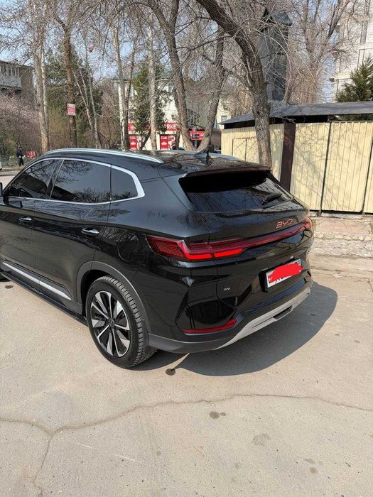 BYD Champion Reystaling