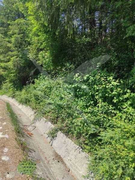 Парцел Гълъбово 84834