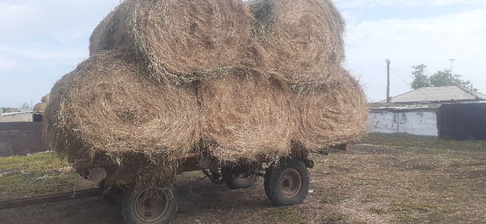 Продам прицеп 2 птс4
