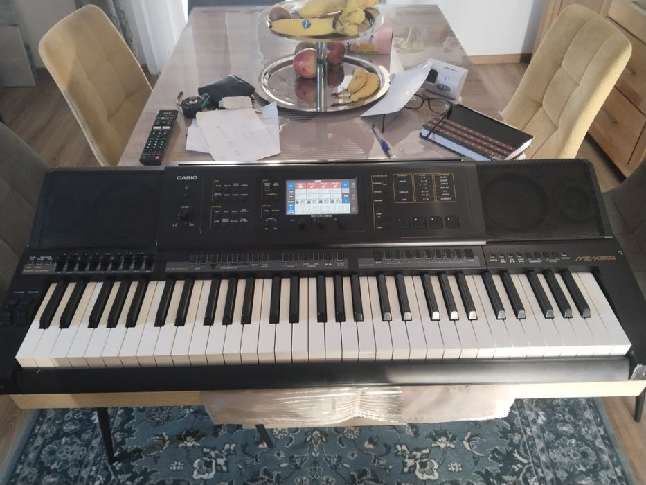 Vând orga Casio  MZ - x 300