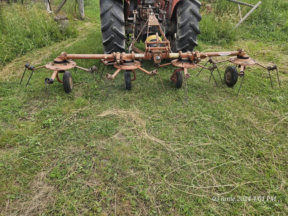 Grebla intors răvășit fan