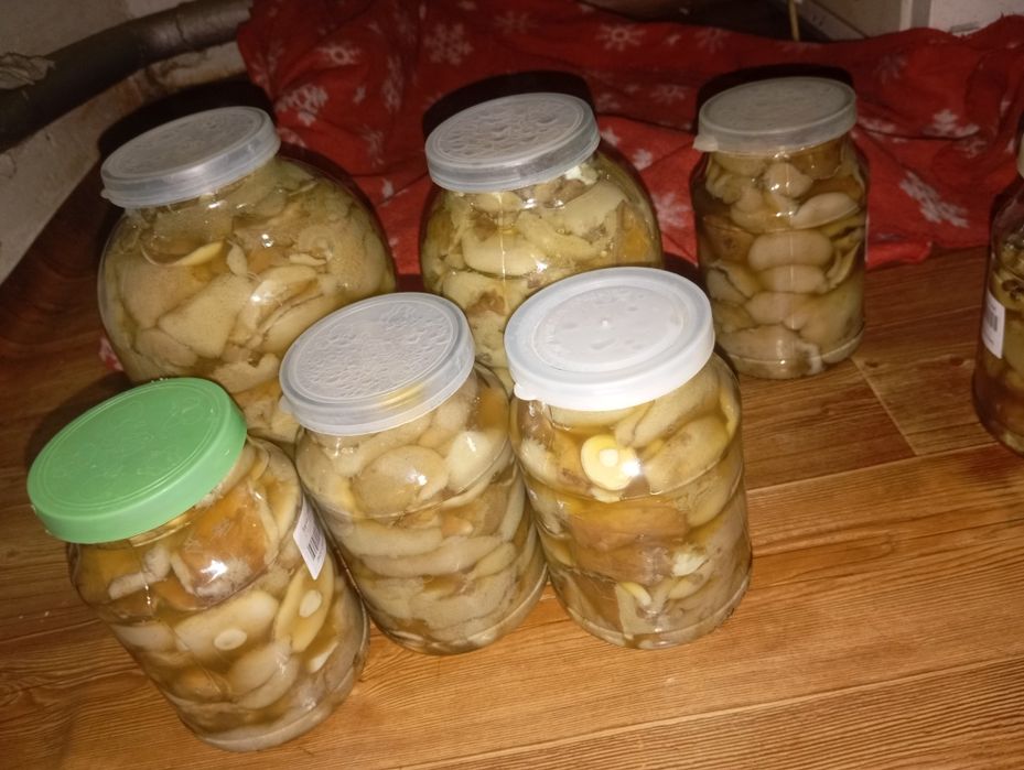 Маринованные грибы маслята