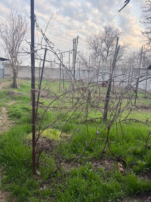 Дом , земля 10 сот кибрайский р-н