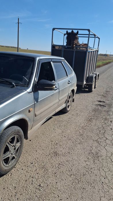 Продам Коневоз на две лошади