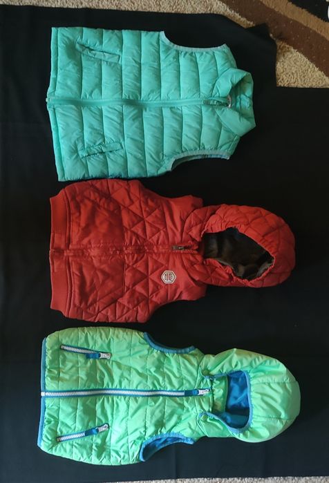 Vestute copii și gecuta,toate 35 lei