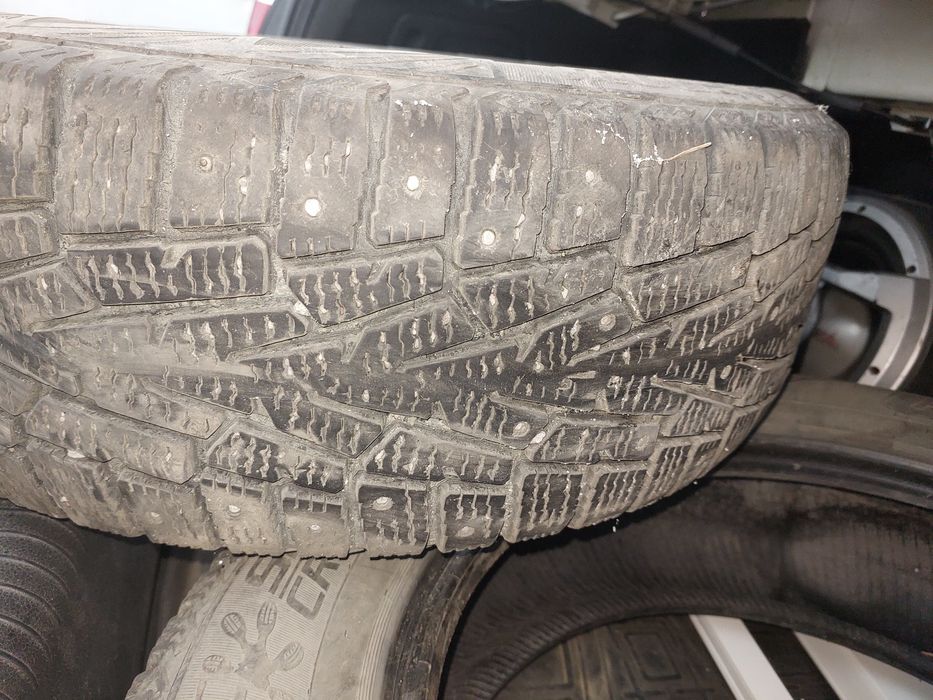 Шины.   Кардиант