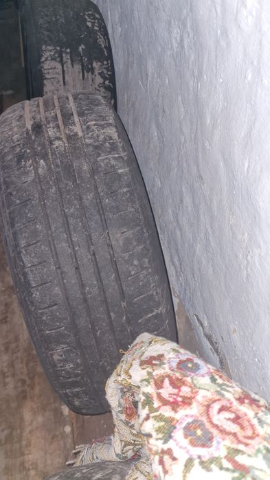 Шины летние NEXEN