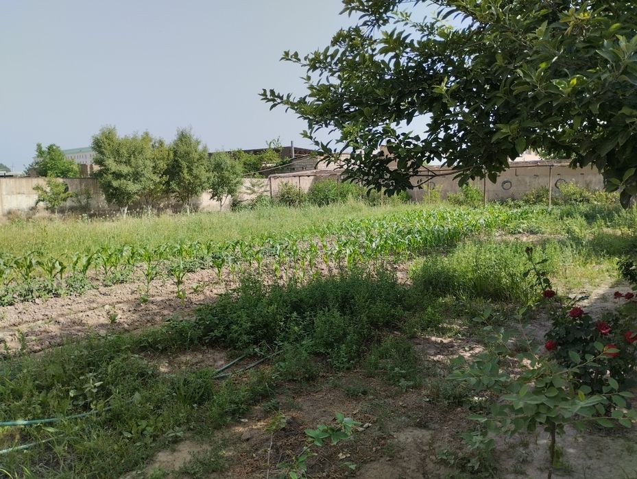 Уй сотилади ,денов туманида,