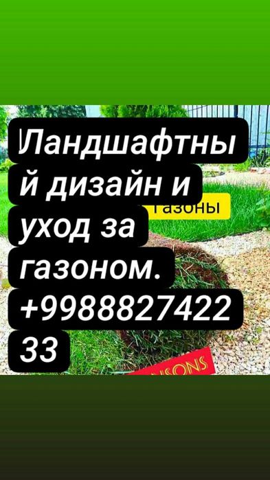 Акция на рулонный газон и витамины для газона . услуги садовника.