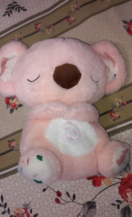 Urs koala care respira.