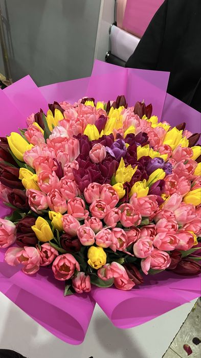 Тюльпаны голандские