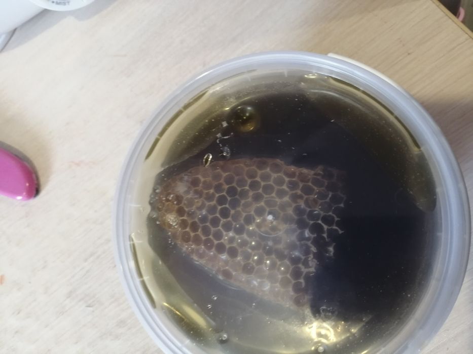 Продам мед разнотравие