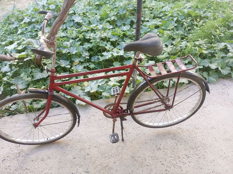 Ural velik sotiladi 500ming