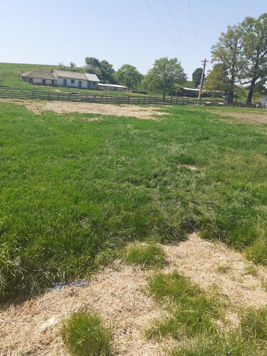 Anunt vanzare ferma Arges