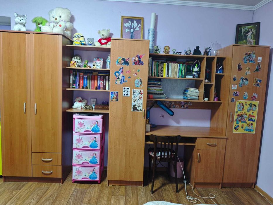 Шкаф советский, и мебельная стенка