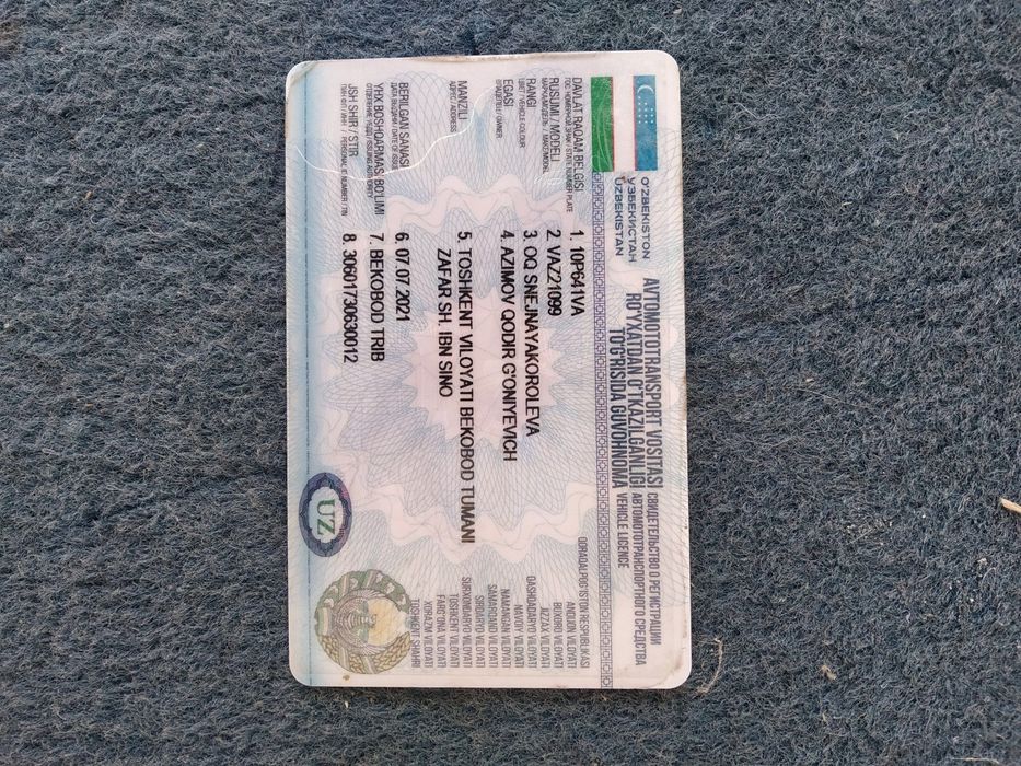 Лада 099 волк...