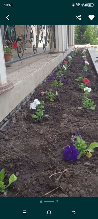 Услуги Сад и огород