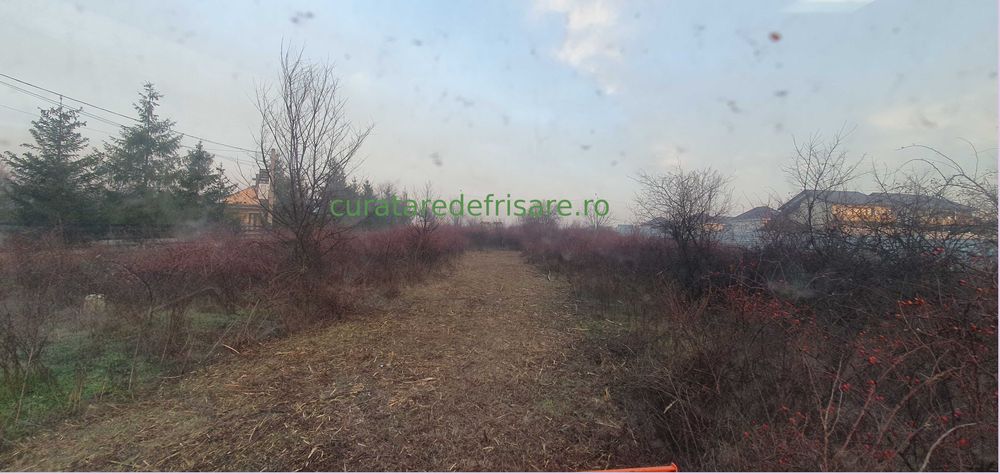 Salubrizare terenuri, curatare vegetatie, defrisare si tocare, cosire