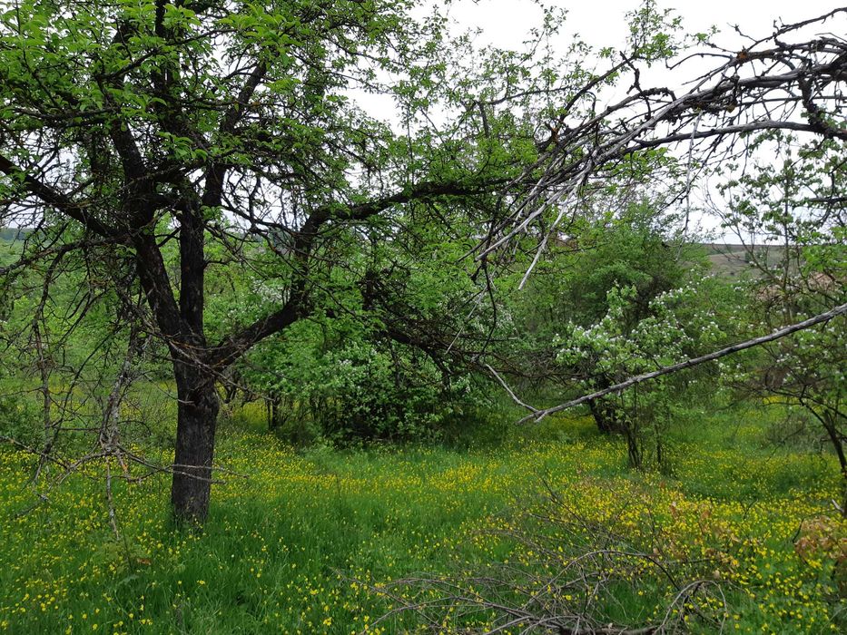 Продавам къща с парцел
с. Звезда, Търговище