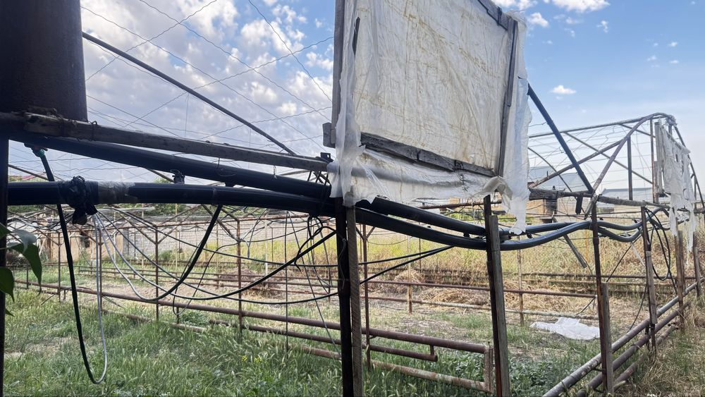 Tiplitsa temir turubas  sotiladi
