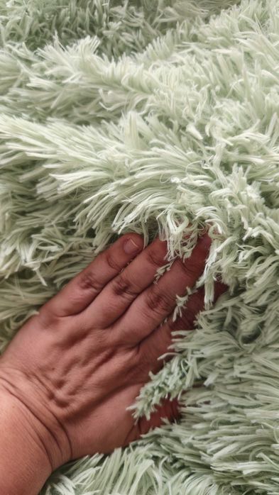 Pat culcus caini, pisici