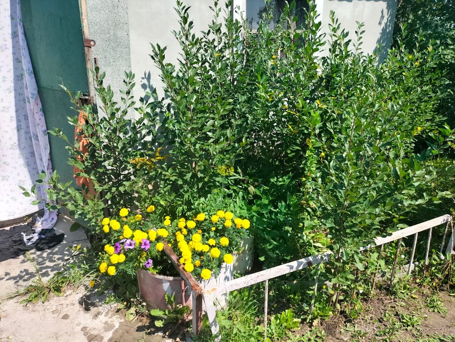 Продам дачу,общество Эврика