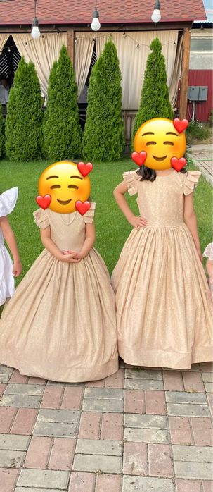 Платье для принцесс,бальное платье,платье для девочек