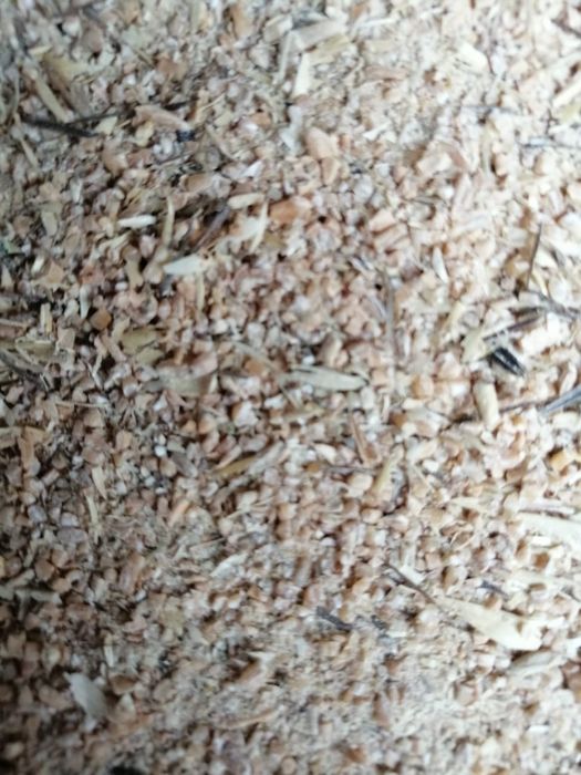 Продаю корма для крс лошадей